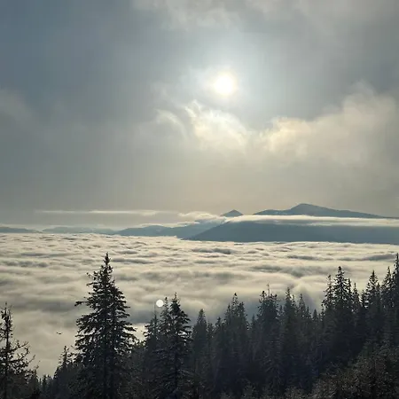 маріна Драгобрат